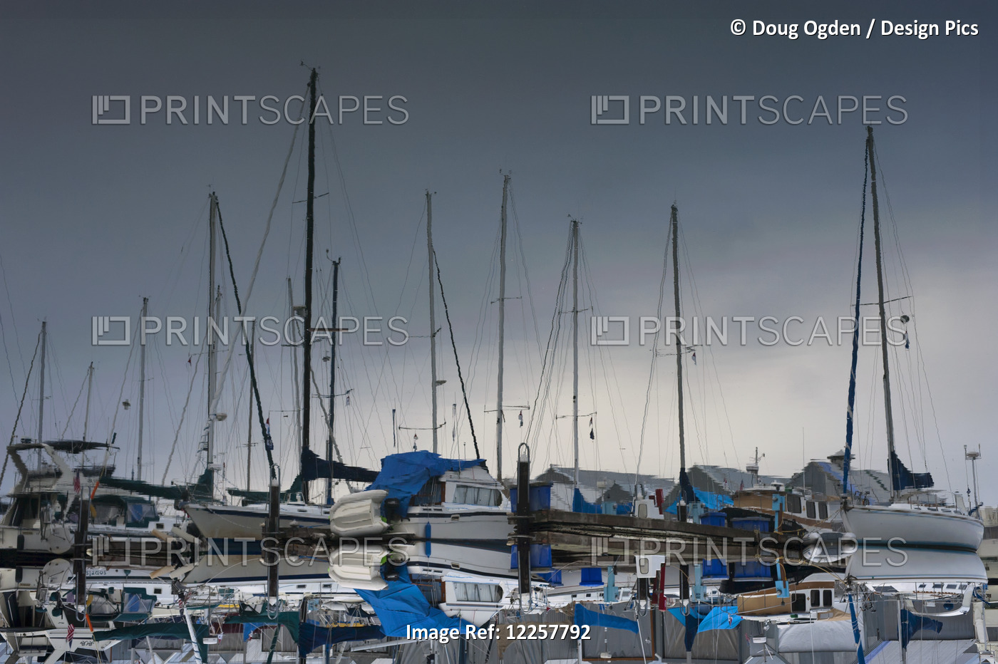 Mirror Image Reflection Of Sailboats In Tranquil Water; Olympia, Washington, ...