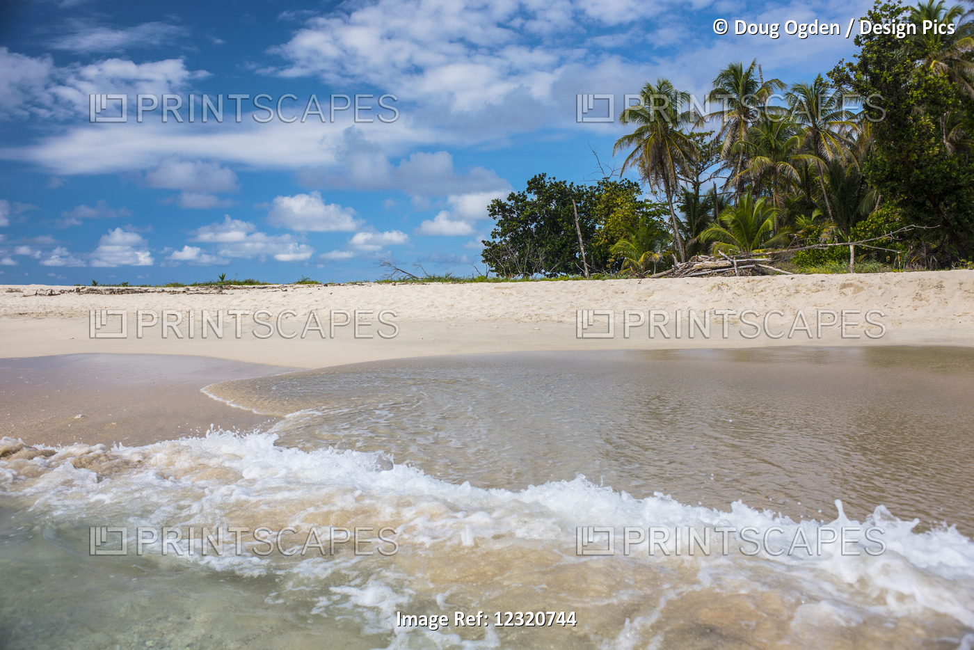 A Wave Splashing Onto The White Sand Beach And The Jungle In The Background On ...