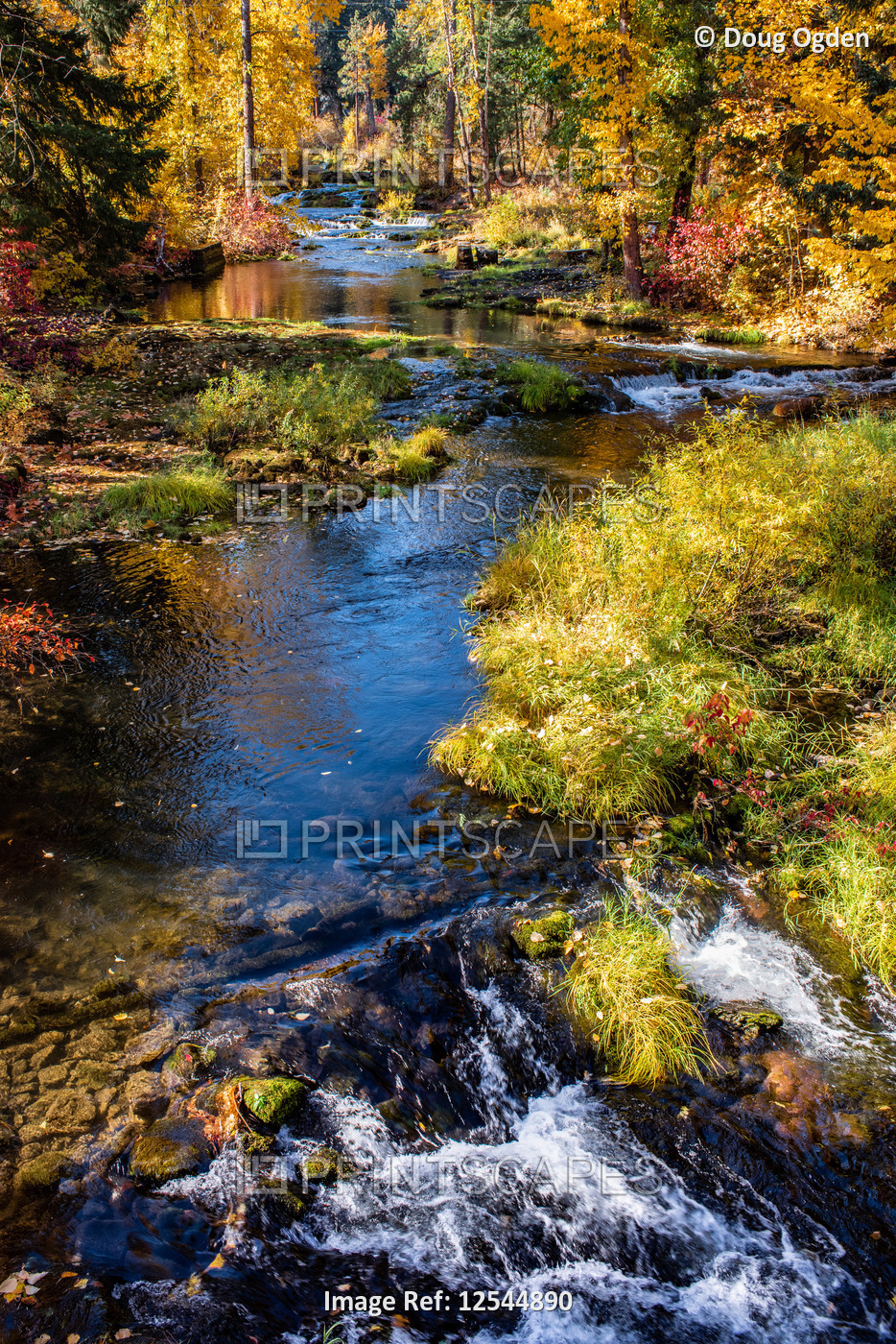 Beautiful flowing creek through the Fall Colors of Washington State