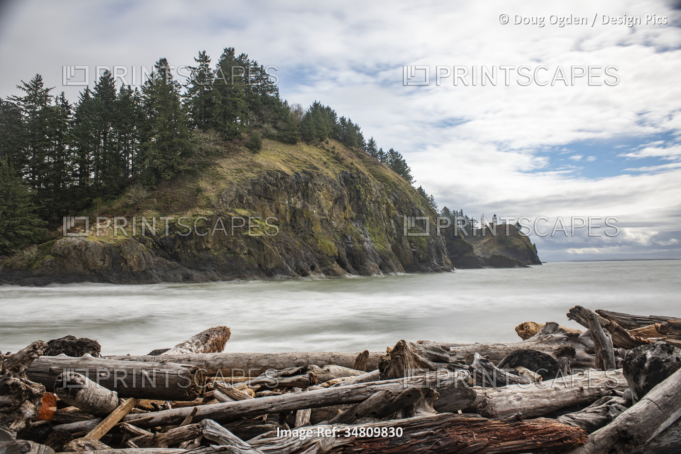 Driftwood gathered on the shore of Waikiki Beach below Cape Disappointment ...